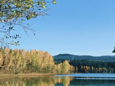 Mt. Vernon, WA: First&nbsp;impressions