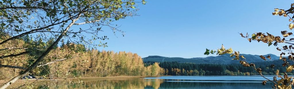 Mt. Vernon, WA: First&nbsp;impressions