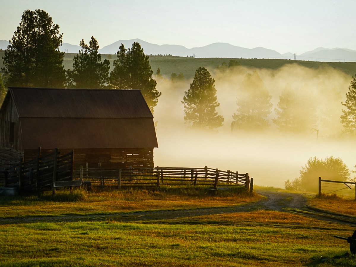 “There’s no place like home:” Except for&nbsp;Montana