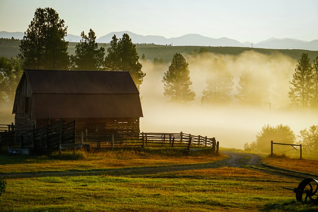 “There’s no place like home:” Except for&nbsp;Montana